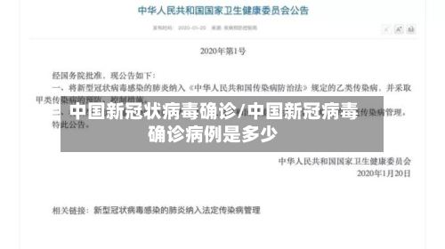 中国新冠状病毒确诊/中国新冠病毒确诊病例是多少-第3张图片