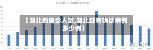 【湖北的确诊人数,湖北现有确诊病例多少例】