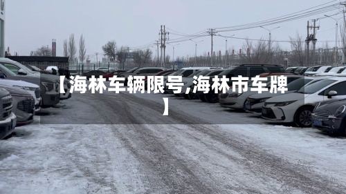 【海林车辆限号,海林市车牌】