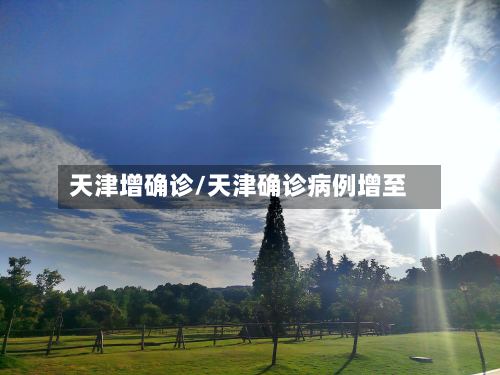 天津增确诊/天津确诊病例增至