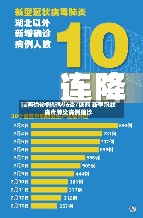 陕西确诊例新型肺炎/陕西 新型冠状病毒肺炎病例确诊