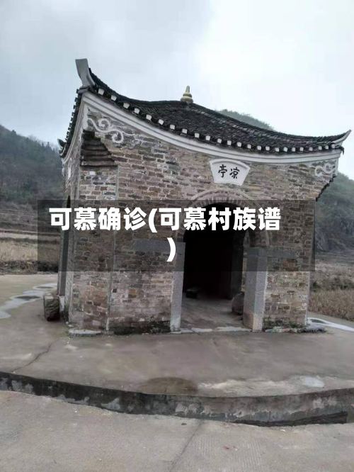 可慕确诊(可慕村族谱)-第3张图片