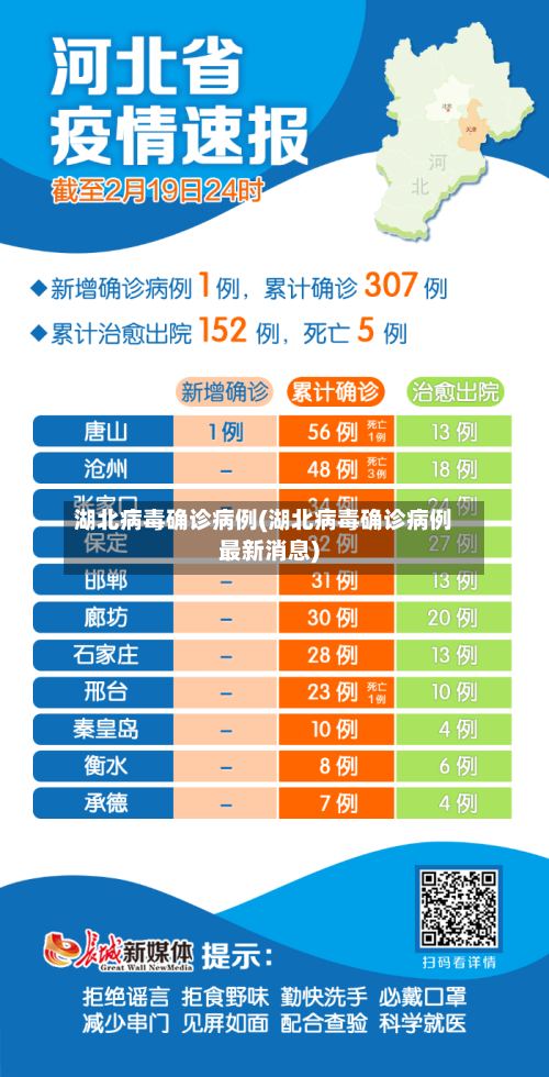 湖北病毒确诊病例(湖北病毒确诊病例最新消息)-第2张图片