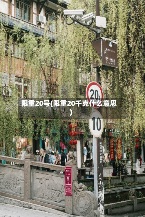 限重20号(限重20千克什么意思)