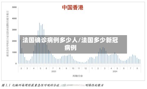 法国确诊病例多少人/法国多少新冠病例