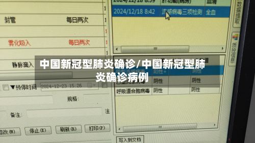 中国新冠型肺炎确诊/中国新冠型肺炎确诊病例