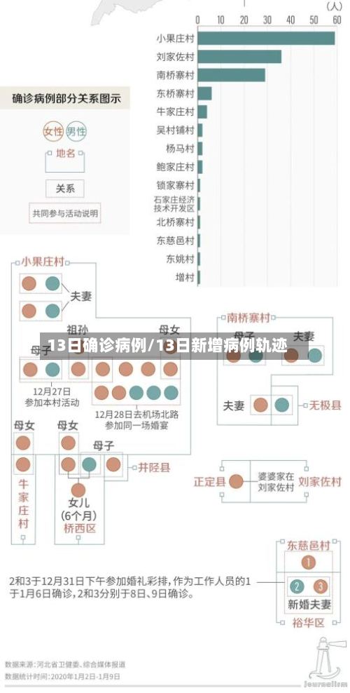 13日确诊病例/13日新增病例轨迹-第3张图片
