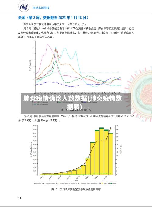 肺炎疫情确诊人数数据(肺炎疫情数据表)-第2张图片