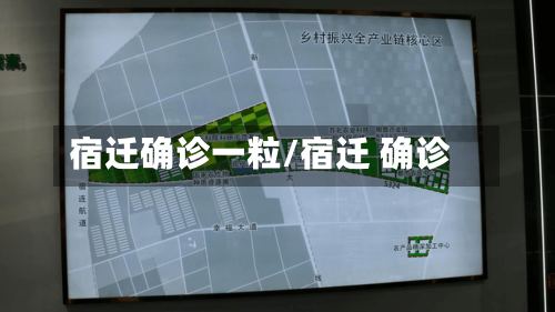 宿迁确诊一粒/宿迁 确诊-第2张图片