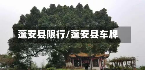 蓬安县限行/蓬安县车牌