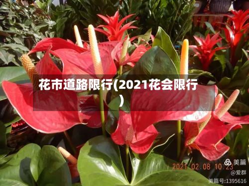 花市道路限行(2021花会限行)-第2张图片