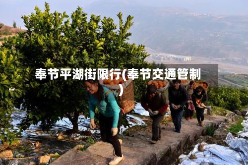 奉节平湖街限行(奉节交通管制)-第2张图片