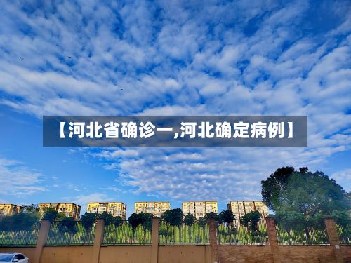【河北省确诊一,河北确定病例】-第2张图片