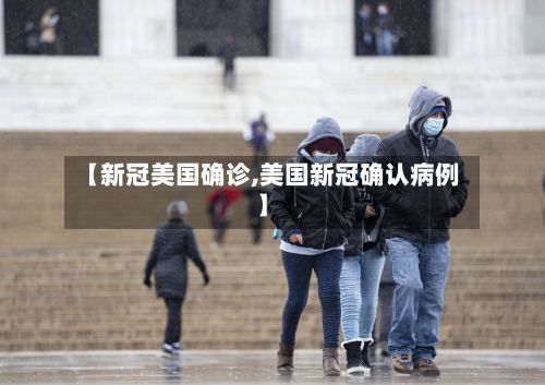 【新冠美国确诊,美国新冠确认病例】-第2张图片