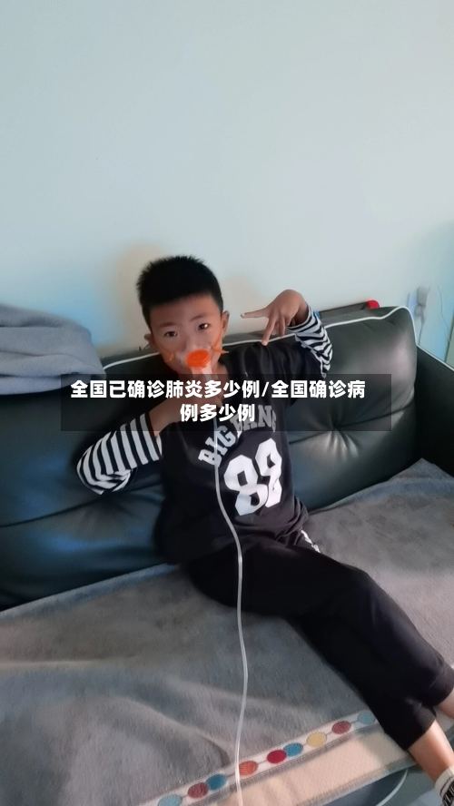 全国已确诊肺炎多少例/全国确诊病例多少例-第3张图片