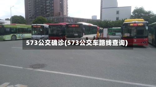 573公交确诊(573公交车路线查询)-第2张图片
