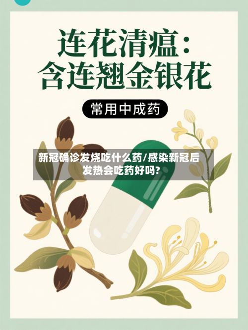 新冠确诊发烧吃什么药/感染新冠后发热会吃药好吗?-第3张图片