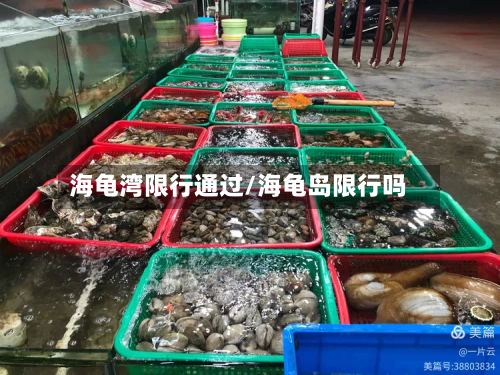 海龟湾限行通过/海龟岛限行吗-第3张图片