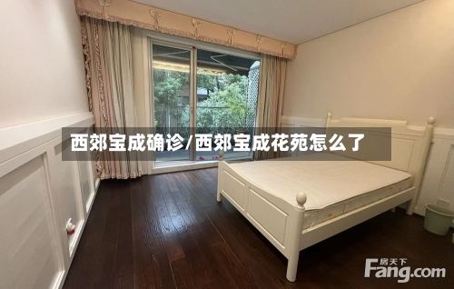 西郊宝成确诊/西郊宝成花苑怎么了