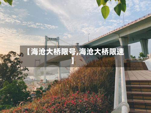 【海沧大桥限号,海沧大桥限速】