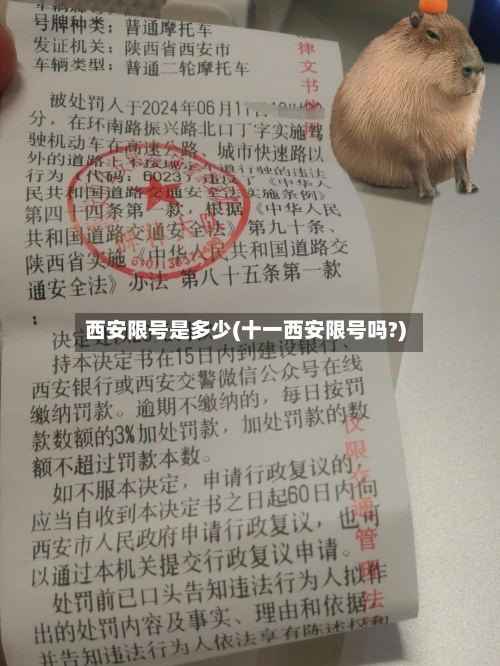 西安限号是多少(十一西安限号吗?)