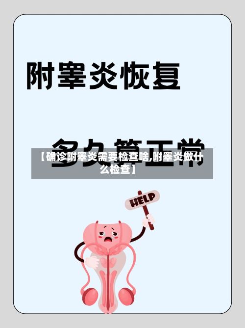 【确诊附睾炎需要检查啥,附睾炎做什么检查】
