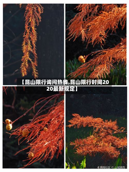 【昆山限行询问热线,昆山限行时间2020最新规定】-第2张图片