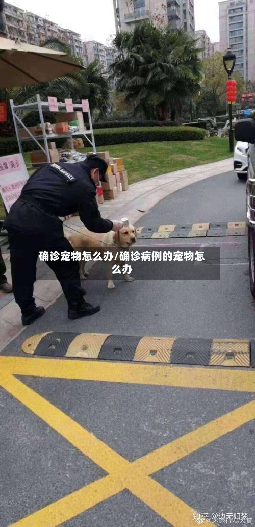 确诊宠物怎么办/确诊病例的宠物怎么办-第2张图片