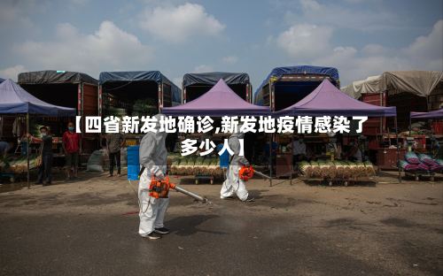 【四省新发地确诊,新发地疫情感染了多少人】