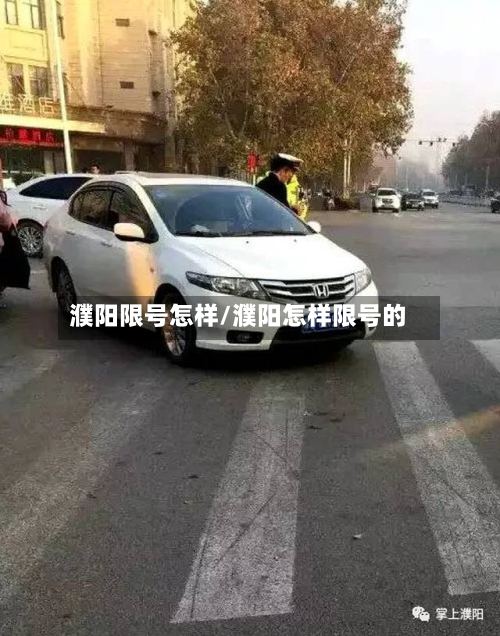 濮阳限号怎样/濮阳怎样限号的-第2张图片