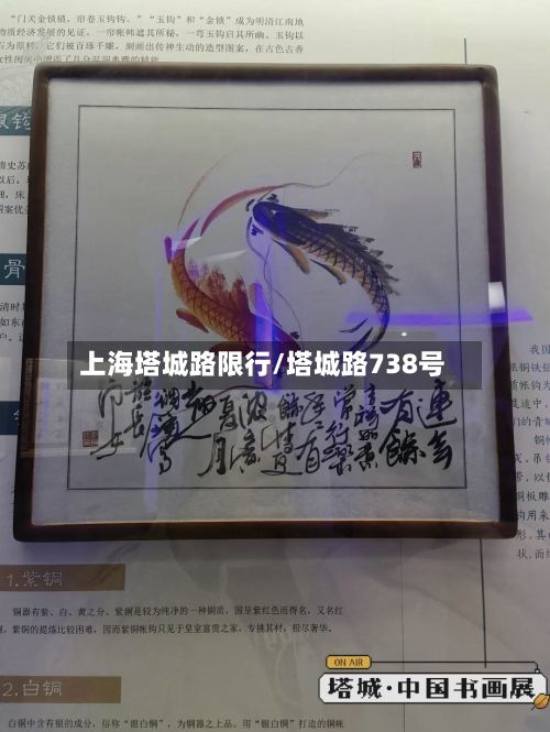上海塔城路限行/塔城路738号-第2张图片