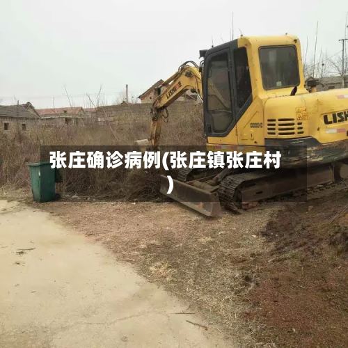 张庄确诊病例(张庄镇张庄村)