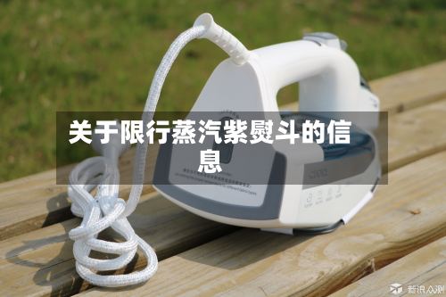 关于限行蒸汽紫熨斗的信息-第2张图片