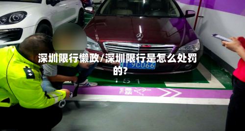 深圳限行懒政/深圳限行是怎么处罚的?-第2张图片