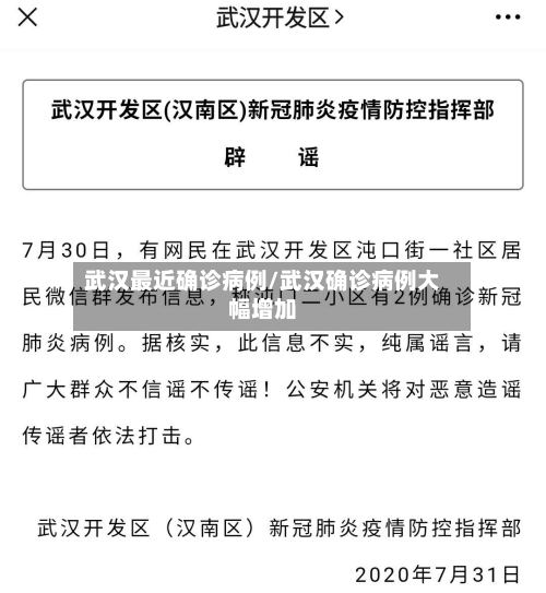 武汉最近确诊病例/武汉确诊病例大幅增加