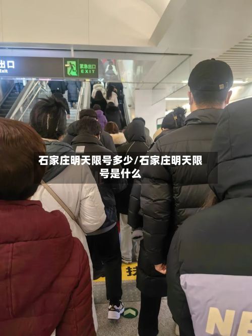 石家庄明天限号多少/石家庄明天限号是什么-第2张图片