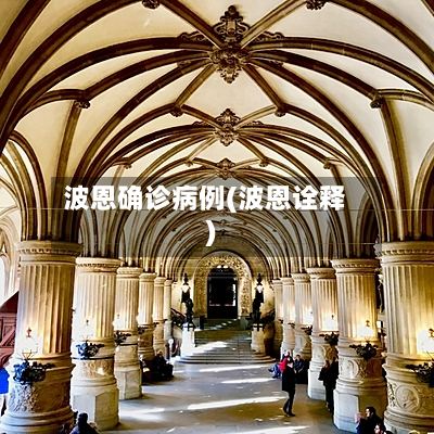 波恩确诊病例(波恩诠释)