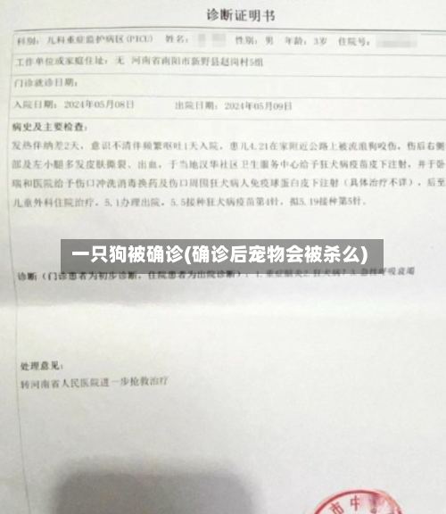 一只狗被确诊(确诊后宠物会被杀么)