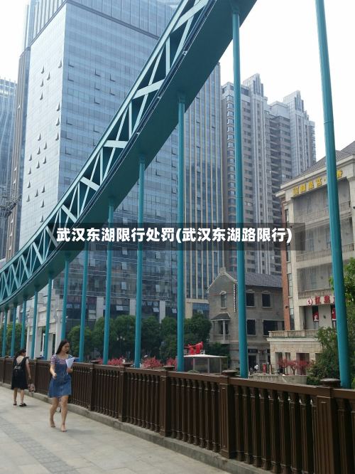 武汉东湖限行处罚(武汉东湖路限行)-第2张图片