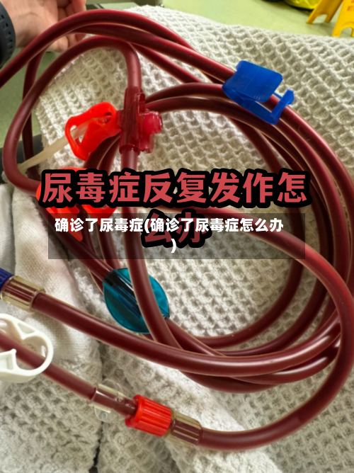 确诊了尿毒症(确诊了尿毒症怎么办)