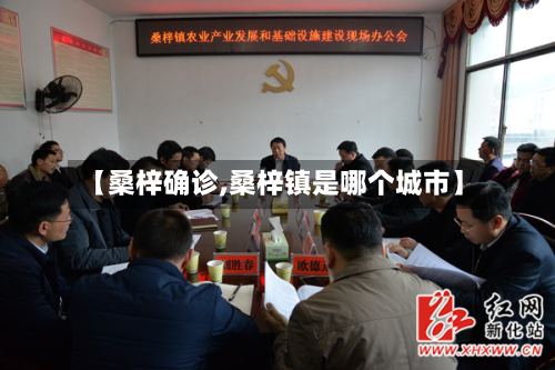 【桑梓确诊,桑梓镇是哪个城市】-第3张图片