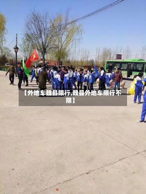 【外地车魏县限行,魏县外地车限行不限】-第2张图片