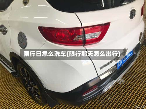 限行日怎么洗车(限行那天怎么出行)-第3张图片