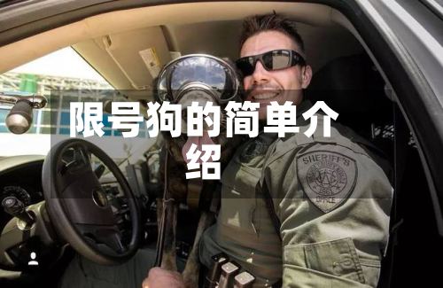 限号狗的简单介绍-第3张图片