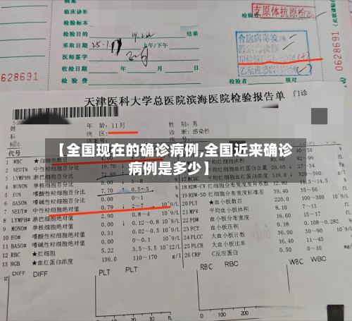 【全国现在的确诊病例,全国近来确诊病例是多少】-第3张图片