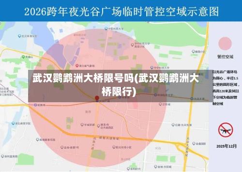 武汉鹦鹉洲大桥限号吗(武汉鹦鹉洲大桥限行)-第2张图片