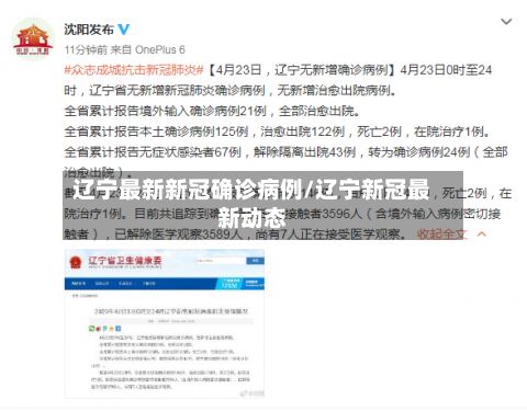 辽宁最新新冠确诊病例/辽宁新冠最新动态-第2张图片