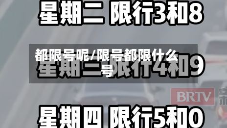 都限号呢/限号都限什么号-第3张图片