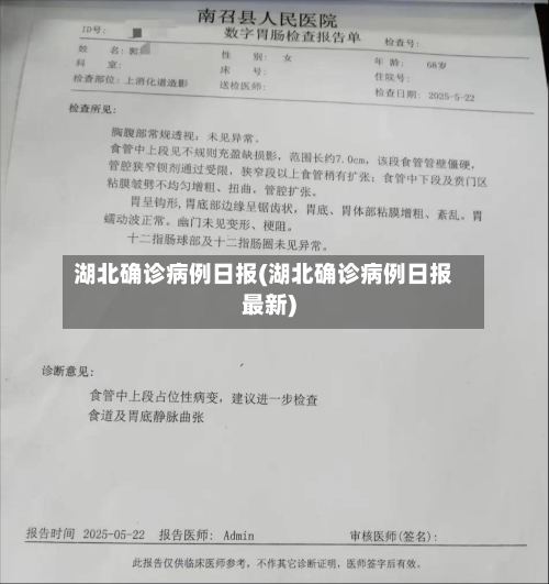 湖北确诊病例日报(湖北确诊病例日报最新)-第3张图片