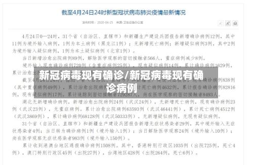 新冠病毒现有确诊/新冠病毒现有确诊病例